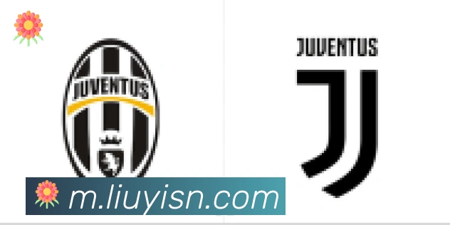 博鱼官网登录入口合作伙伴